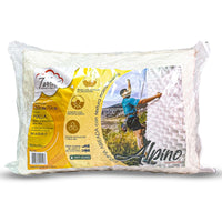 ALPINO