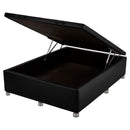 BOX BAUL