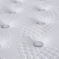 VISCO PLUS