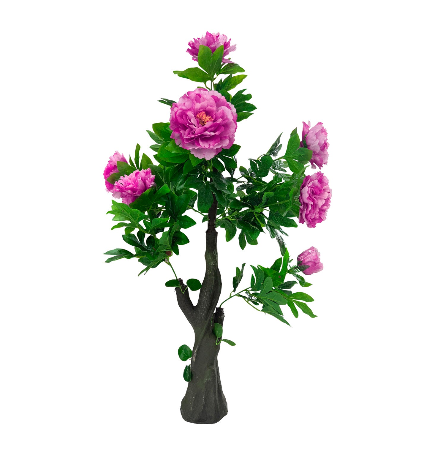 PLANTA/DECO-TRA-712