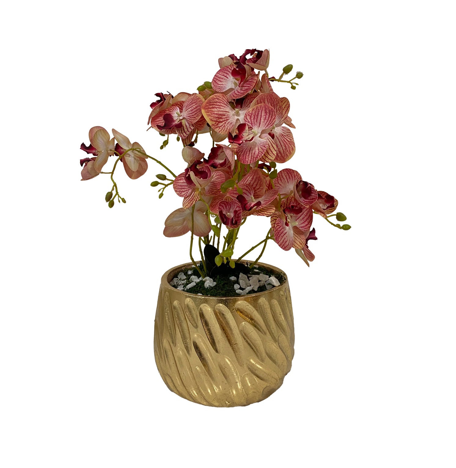 PLANTA/DECO-TRA-700