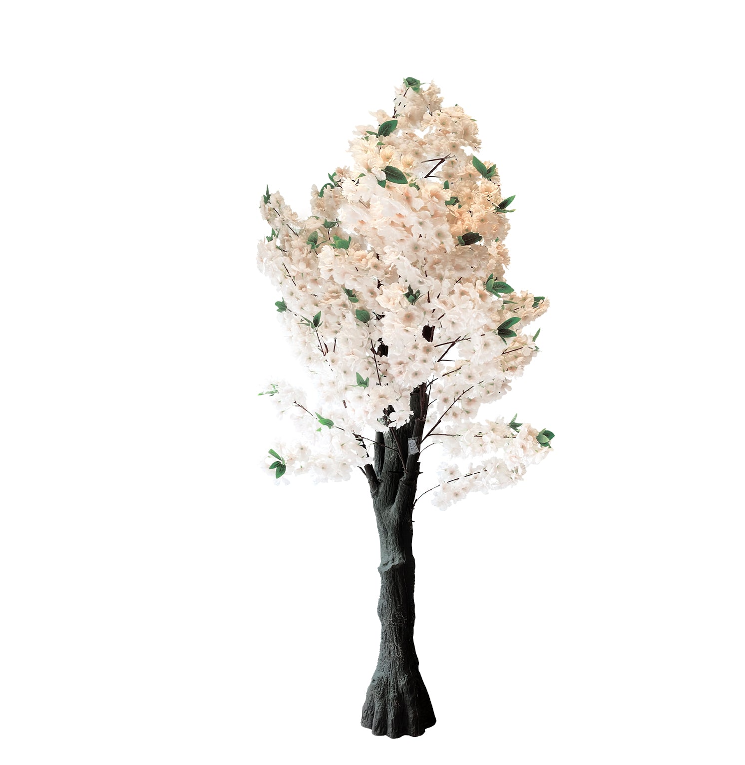 PLANTA/DECO-TRA-715