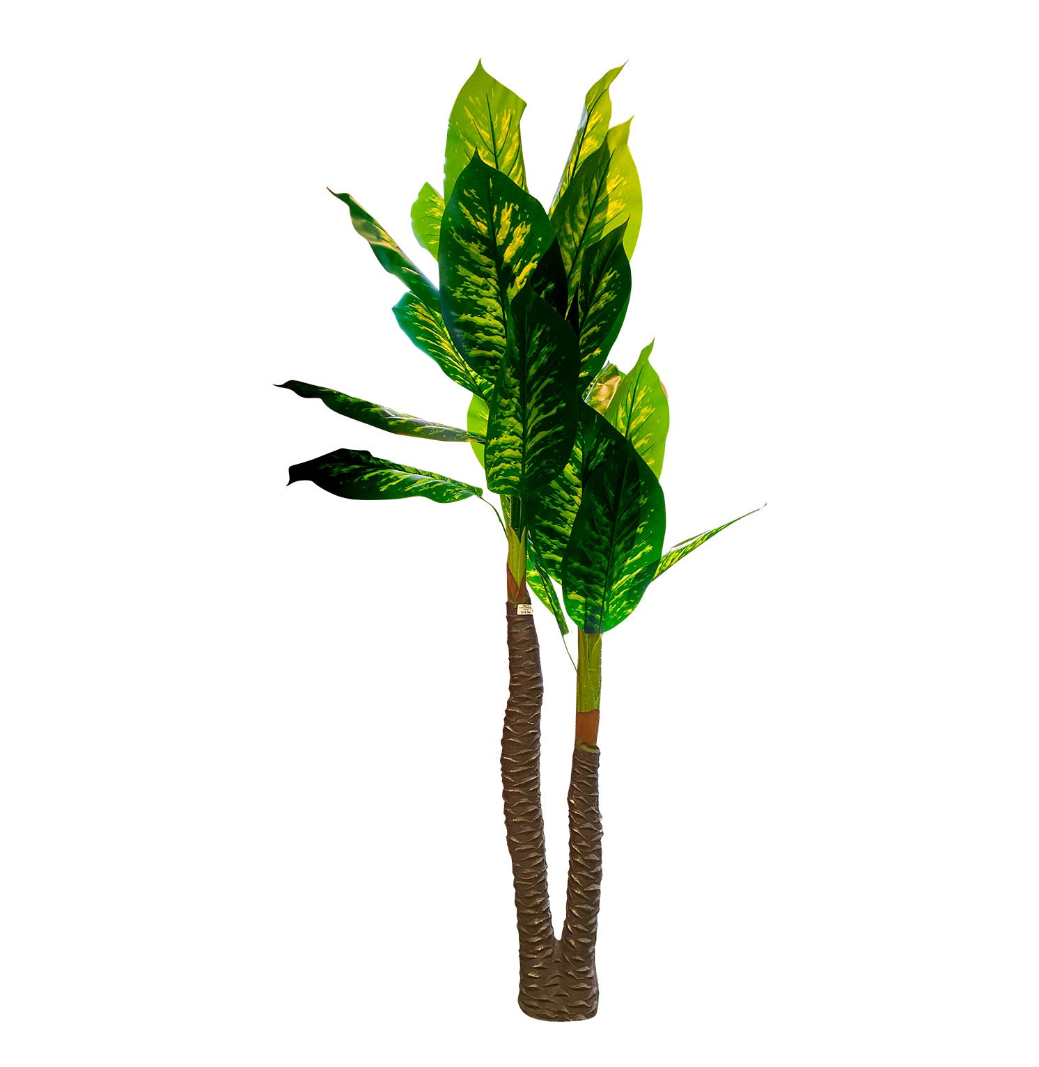 PLANTA/DECO-TRA-717