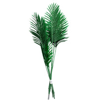 PLANTA/DECO-TRA-728