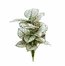 PLANTA/DECO-TRA-730