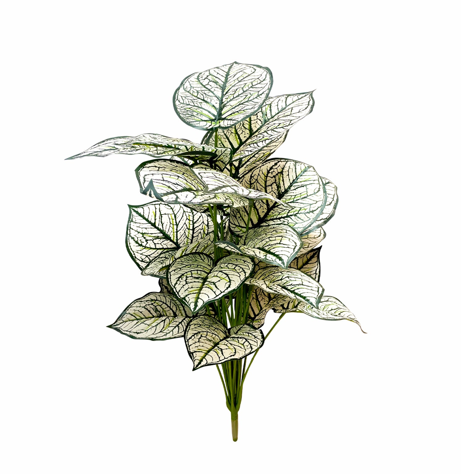PLANTA/DECO-TRA-730