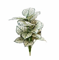 PLANTA/DECO-TRA-730